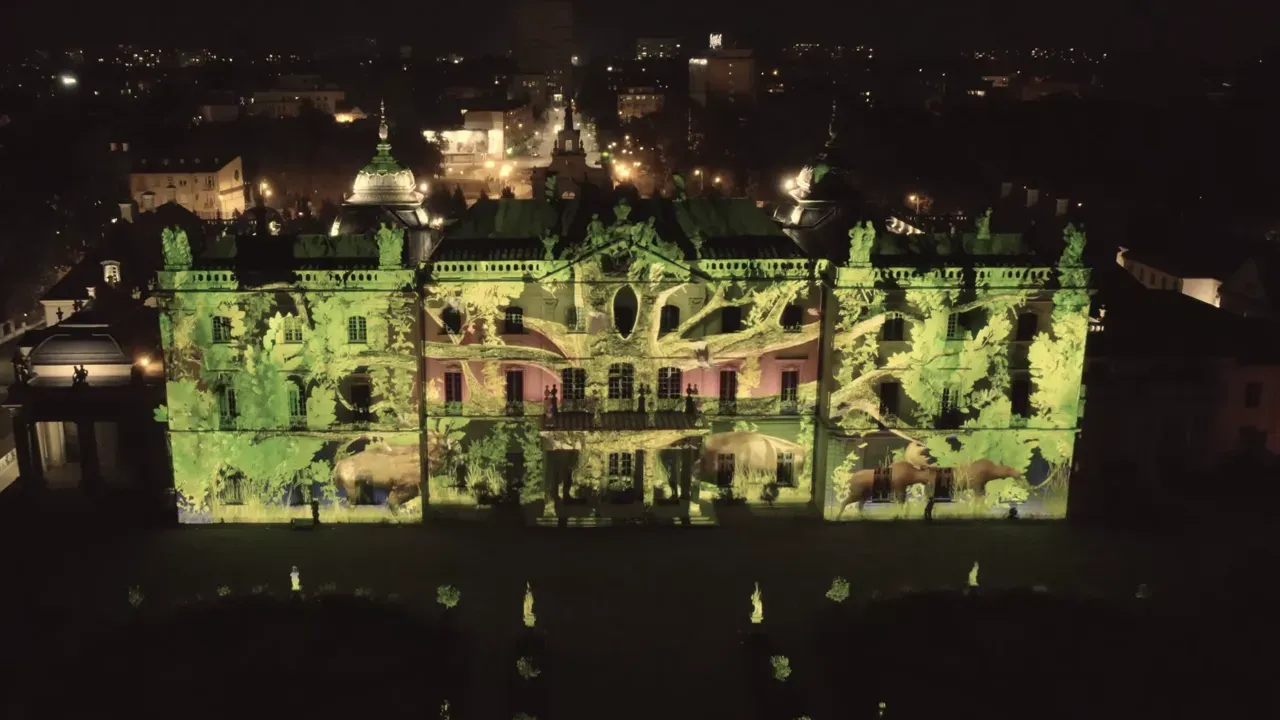 3D Mapping of Bison on Branicki Palace
